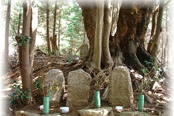高山マリアの墓